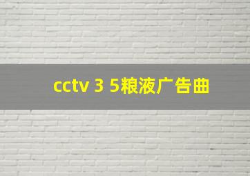 cctv 3 5粮液广告曲